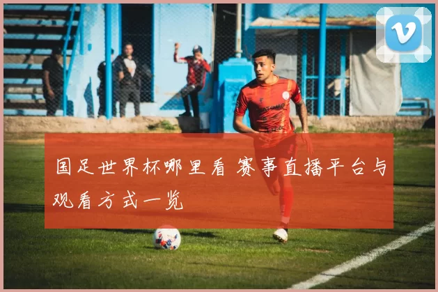 国足世界杯哪里看 赛事直播平台与观看方式一览