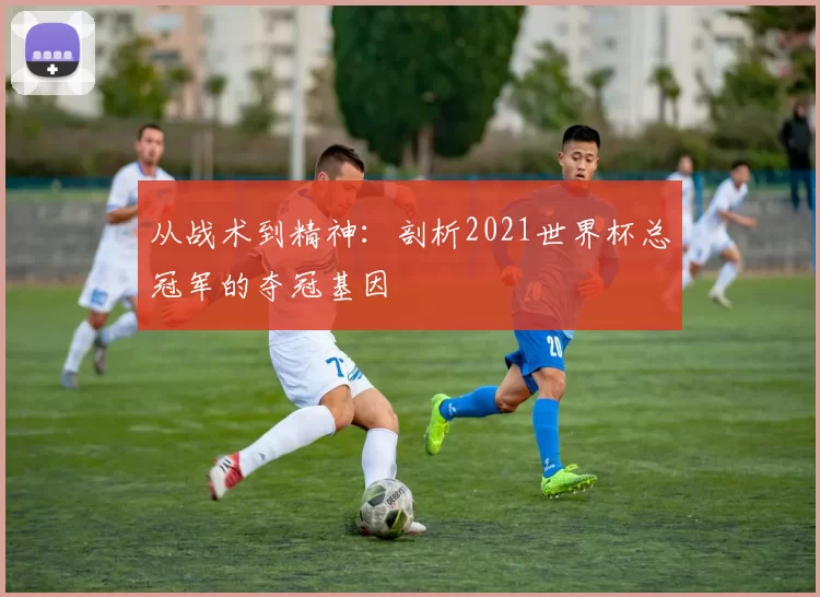 从战术到精神:剖析2021世界杯总冠军的夺冠基因