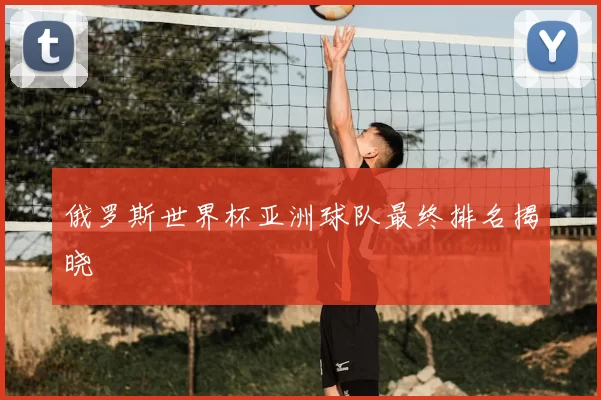 俄罗斯世界杯亚洲球队最终排名揭晓