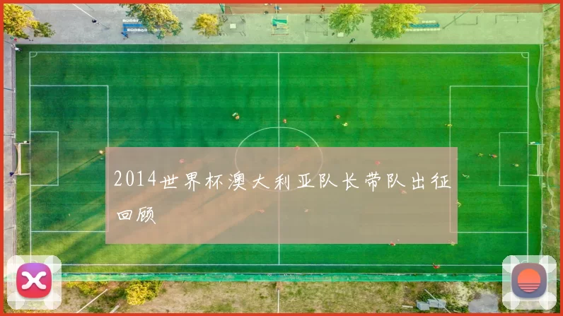 2014世界杯澳大利亚队长带队出征回顾