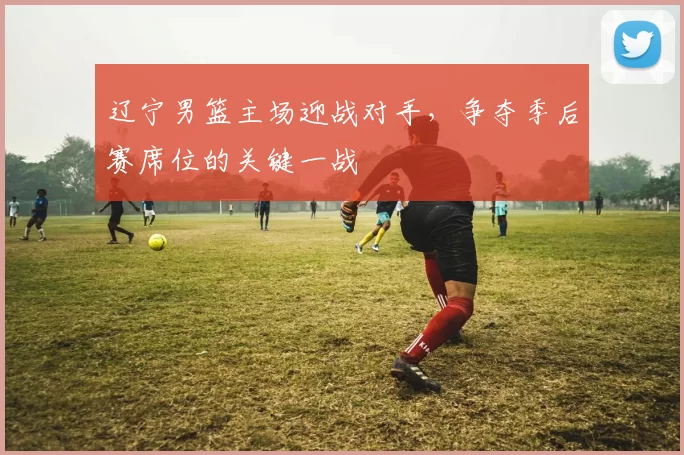 辽宁男篮主场迎战对手,争夺季后赛席位的关键一战