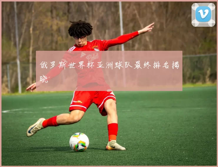 俄罗斯世界杯亚洲球队最终排名揭晓