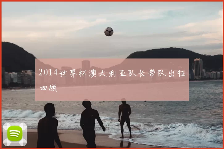 2014世界杯澳大利亚队长带队出征回顾