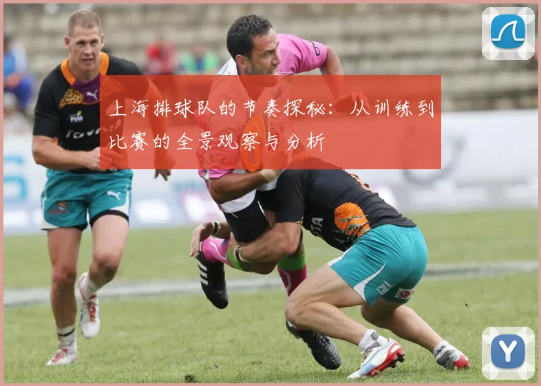 上海排球队的节奏探秘:从训练到比赛的全景观察与分析