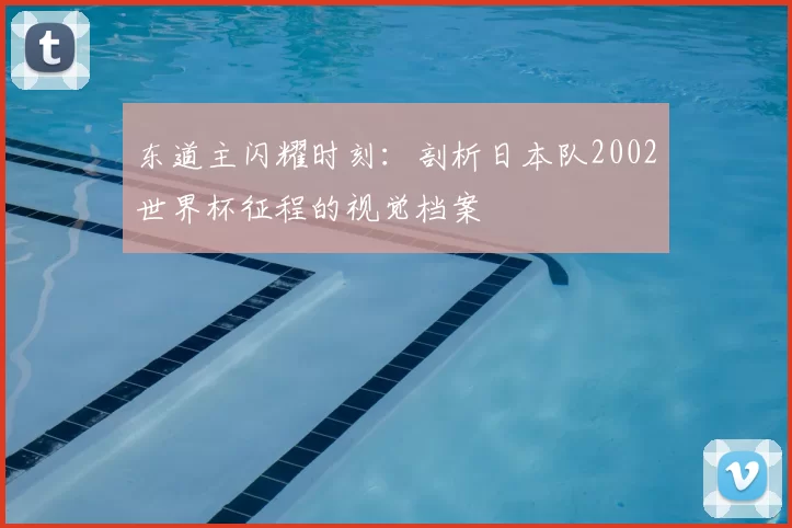 东道主闪耀时刻:剖析日本队2002世界杯征程的视觉档案